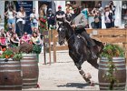 Pferd International 185